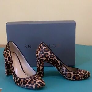 Ann Taylor calf hide pumps